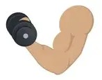 Bicep Flex Curling a dumbbell